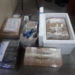 La Policía del Chubut secuestró en Arroyo Verde una importante cantidad de pescado empaquetado y fraccionado para la venta